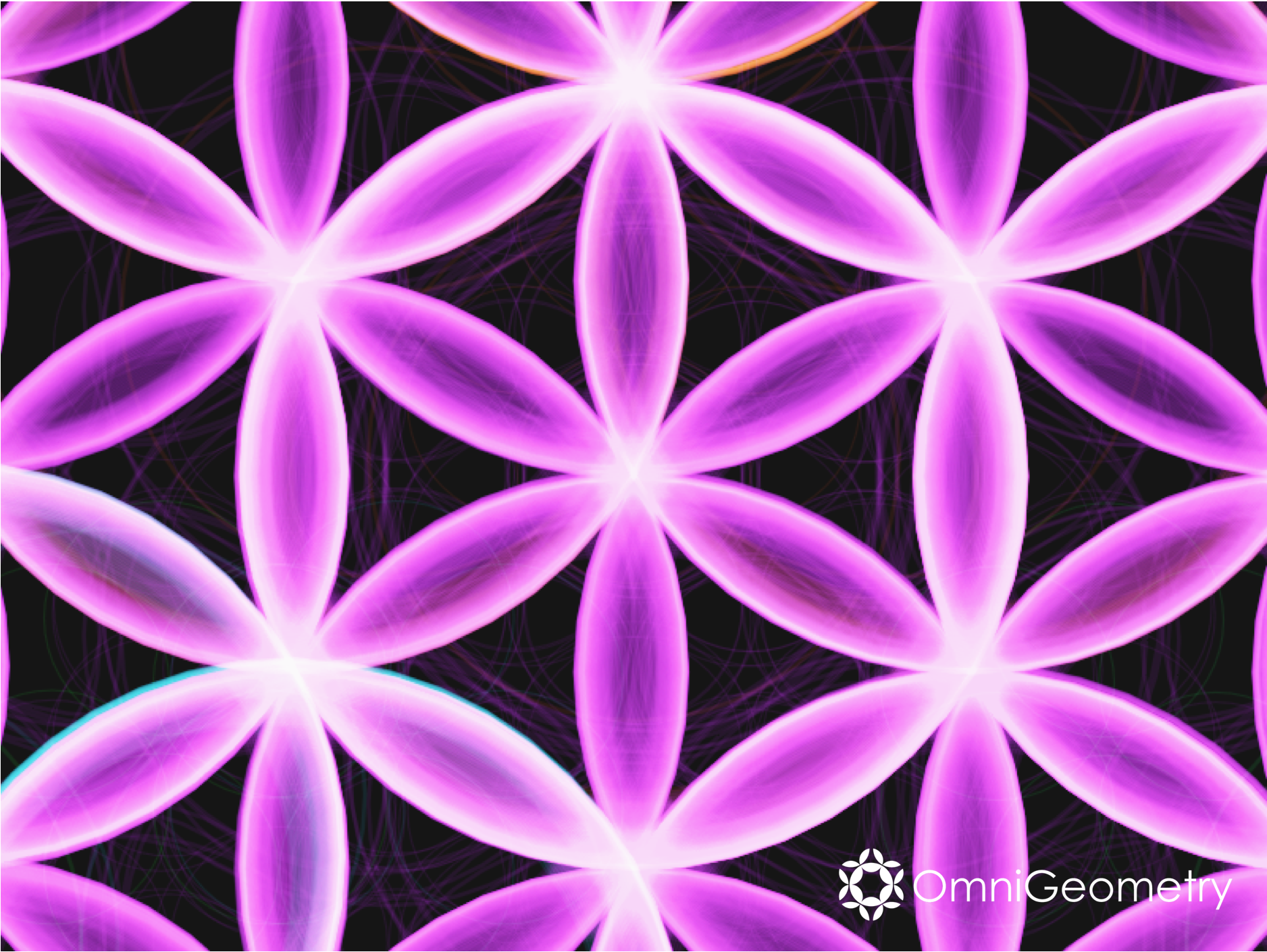 Higher Dimensional Mandalas